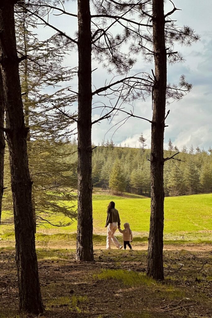 A peaceful scene of a mother and child walking through a sunlit forest meadow.