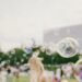 Bubbles are the best activity for toddlers